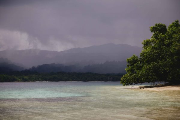 Reason to Visit Peucang Island Beach during Rainy Season