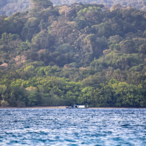 Ujung Kulon: A Global Benchmark for Conservation￼￼